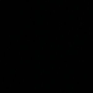 Meet your Posher, Abbey